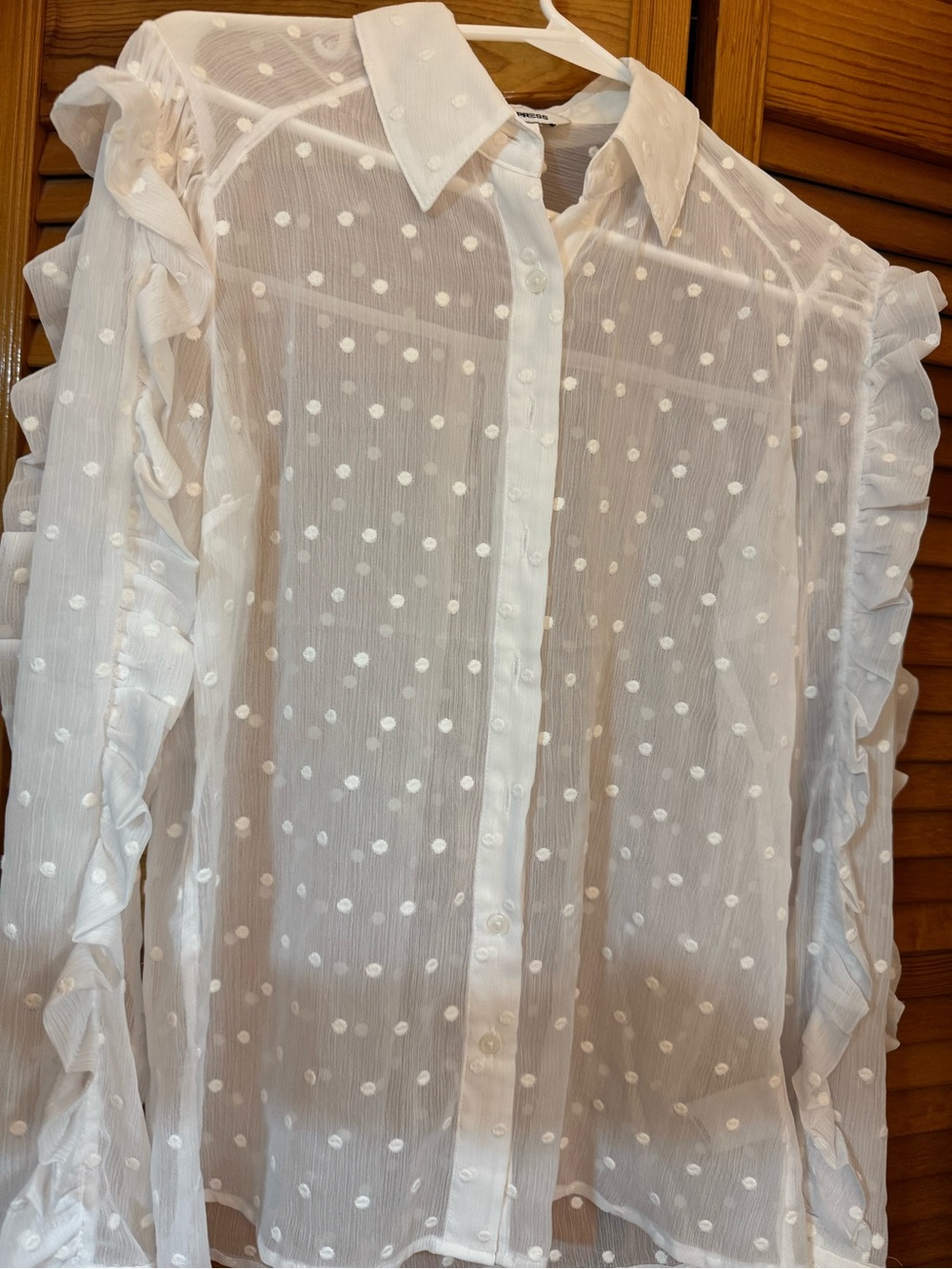 Express White Sheer Swiss Dot Button-Up Blouse